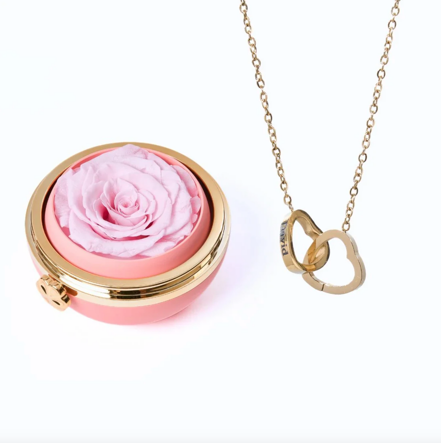 Lourina Eternal Rose Box & Personalized Necklace Gift